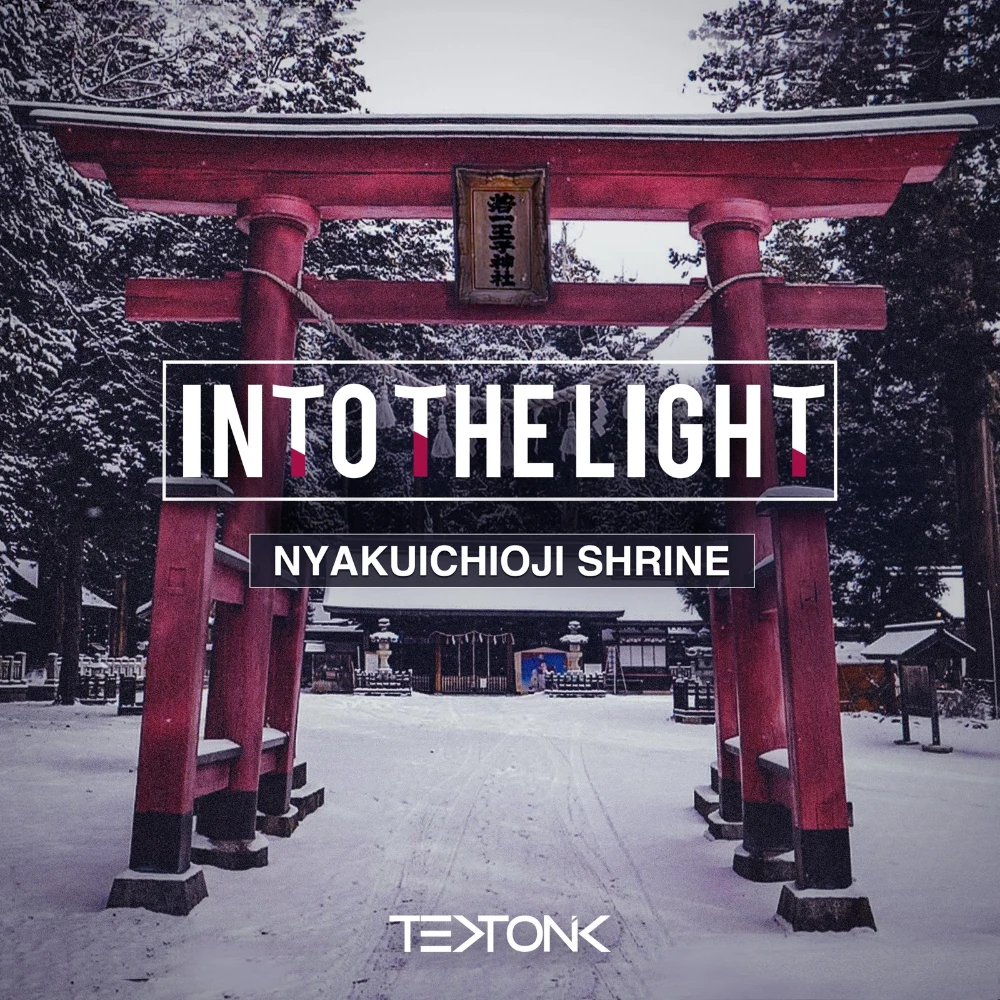 Into the Light (feat. Dana Leong) by Tektonik, album cover